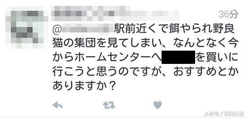 你在社交網站上發布的的一句話可能害死一隻貓!