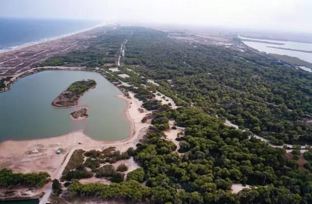 最美板鴨之秋-10個適合秋天休閑徒步的森林公園