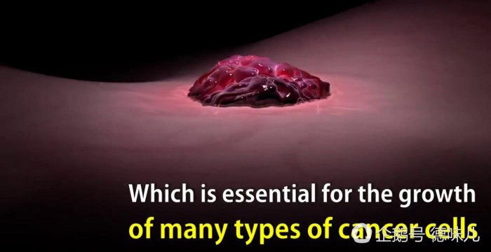 癌症治療新發現，新葯S63845可殺死多種癌細胞