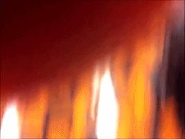 不是我幸災樂禍,我是真的忍不住