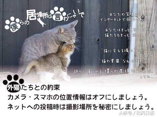 你在社交網站上發布的的一句話可能害死一隻貓!