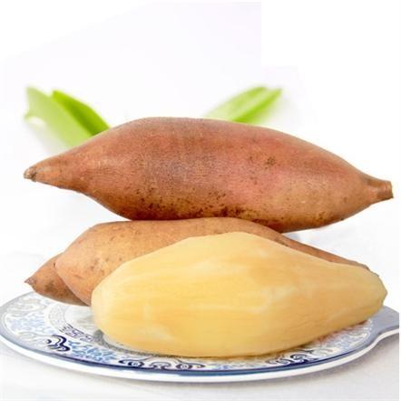 雪山上的「神果」,治陽痿、暖子宮,怎麼看都像紅薯