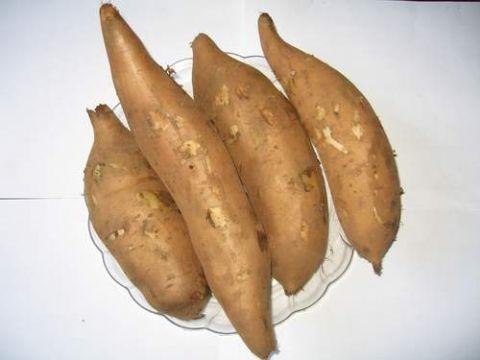 雪山上的「神果」,治陽痿、暖子宮,怎麼看都像紅薯