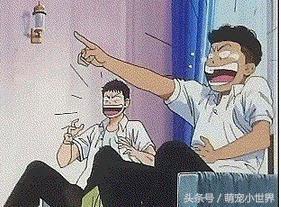 同學家的貓生病了可憐，直到看到病床上的它瞬間笑噴