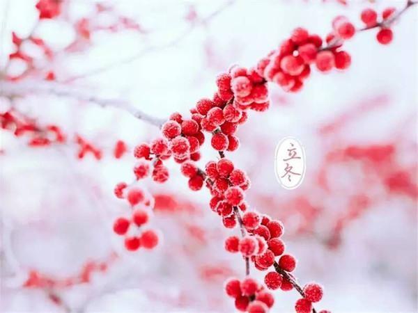 立冬後的三個月哪些人需小心謹慎