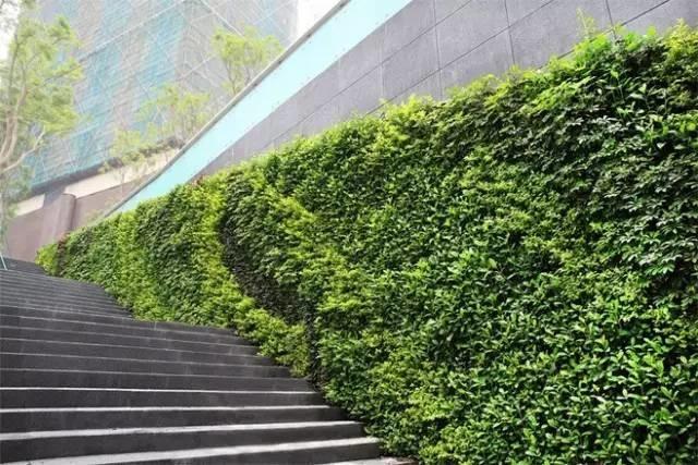 這才是真正的牆藝術！