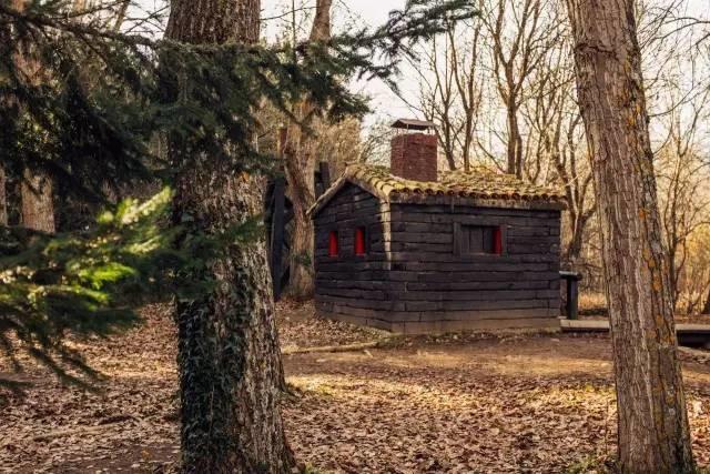 最美板鴨之秋-10個適合秋天休閑徒步的森林公園