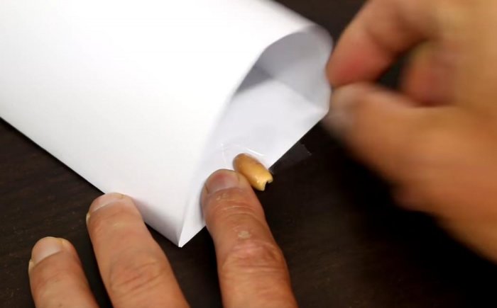 驚呆：小伙只用2張A4紙就做了一部捕鼠神器