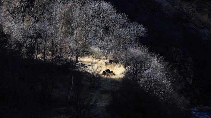 在這世間最乾淨的聖地，遇見最純凈的女人