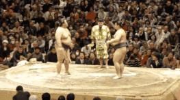 15 條關你屁事的法律規定，你這樣是要被逮捕的