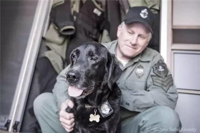 歷時4年的記錄：老年狗狗與主人之間的溫情畫面