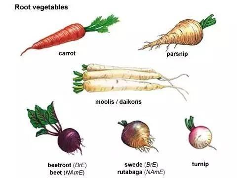 冬吃蘿蔔夏吃薑,老輩兒人說的有道理嗎?
