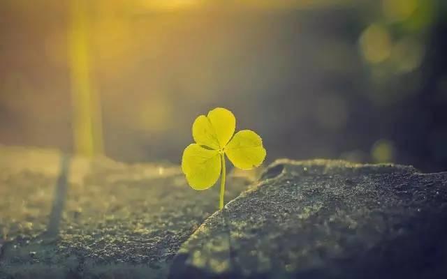 北師大教授：孩子自信不足？可能源於過度教養