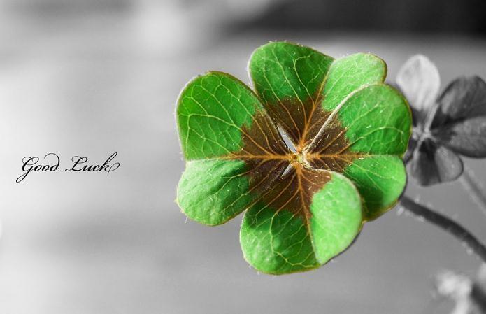 可靠指數低到不行的星座男，白羊雙子射手，比不上他