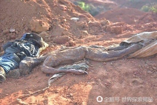 男子工地棺材內挖出古裝女乾屍，專家鑒定後道出真相