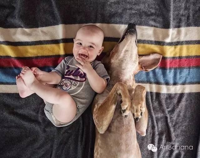 狗狗和攝影師在一起，結果當然是被玩兒壞了