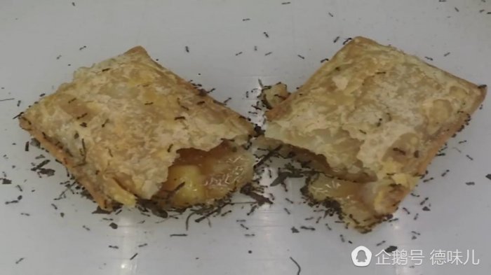 螞蟻怎麼吃掉整塊食物？這視頻很無聊，卻很想看下去