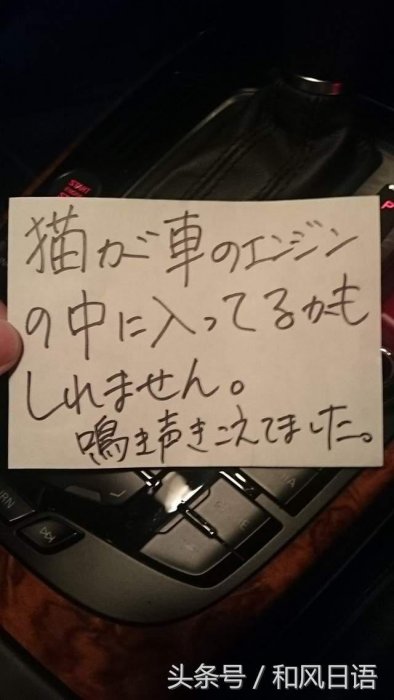 開車前沒拍拍引擎蓋的結果：小貓鬼門關前走了一遭