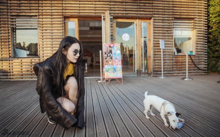 張馨予除了顏值美，才藝方面更是勝過范冰冰，有內涵