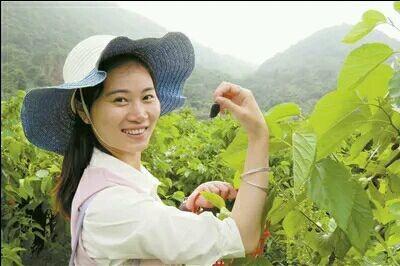 去農村摘了這些長得像毛毛蟲的果子，城裡人都喜歡吃