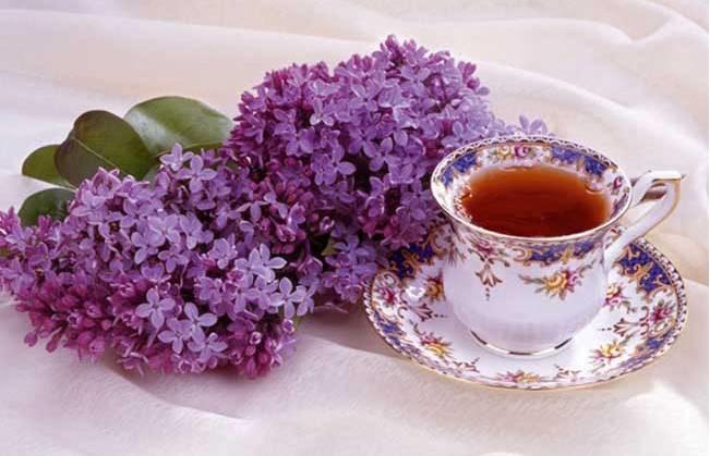 秋季減肥好時機，瘦出好身材！