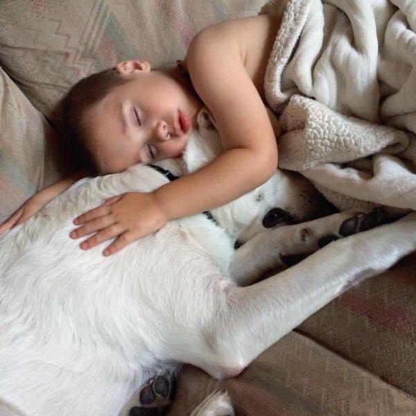 小孩患有自閉症，狗狗三年陪伴，換來小孩驚人的改變