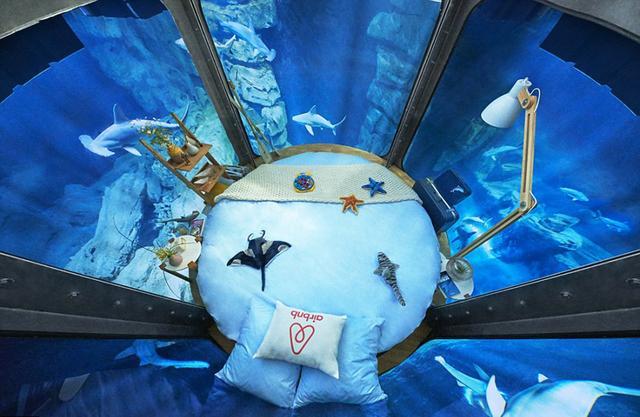 巴黎水族館在鯊魚池裡建造了世界上首個水下房間