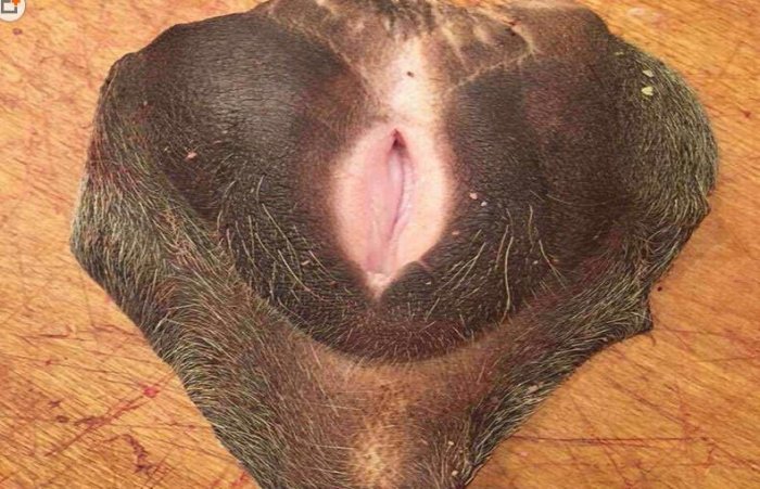 這些奇葩名吃，你吃過幾種？最後的絕啦！