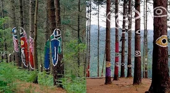 最美板鴨之秋-10個適合秋天休閑徒步的森林公園