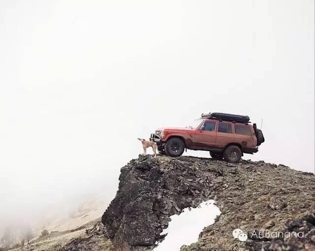 狗狗和攝影師在一起，結果當然是被玩兒壞了