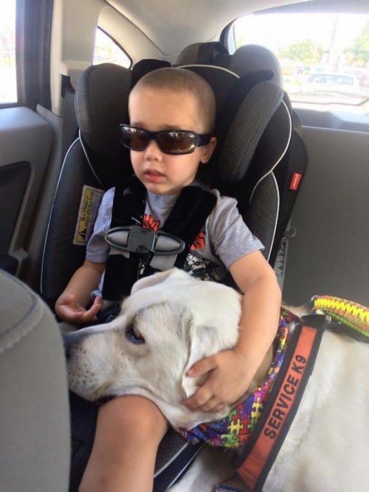 小孩患有自閉症，狗狗三年陪伴，換來小孩驚人的改變