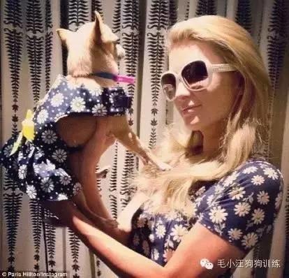 告訴我，是不是女生養了寵物都會變這樣