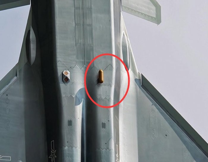 俄專家竟然稱殲20如大母牛，完全不理解它如何隱身