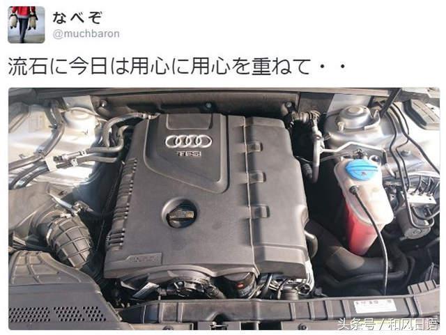 開車前沒拍拍引擎蓋的結果：小貓鬼門關前走了一遭