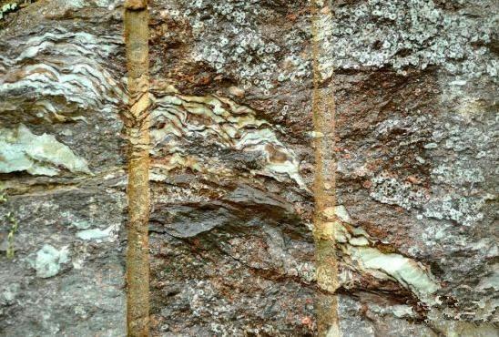 山上採石挖出的特別石頭，表面鮮艷內藏微型小生物！