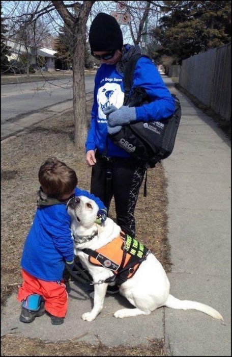 小孩患有自閉症，狗狗三年陪伴，換來小孩驚人的改變