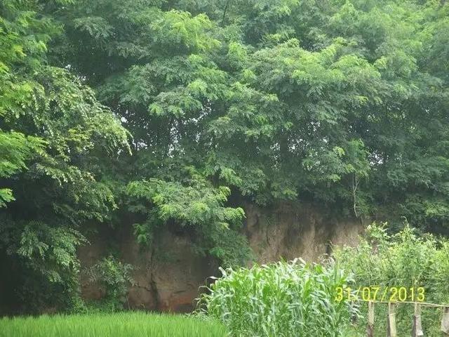 歷史上的女人：復仇女神呂母