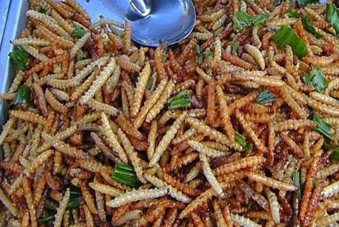 這些奇葩名吃，你吃過幾種？最後的絕啦！