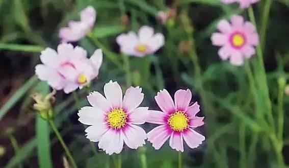 走過去，前面是一片陽光燦爛！