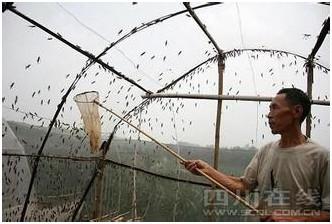 我想吃西瓜！反季蔬果能不能吃啊？