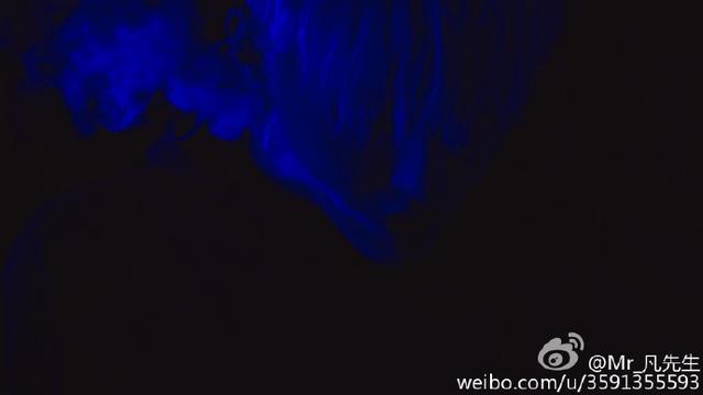 161107 《July》國內首發取好成績,凡凡親自發微博分享