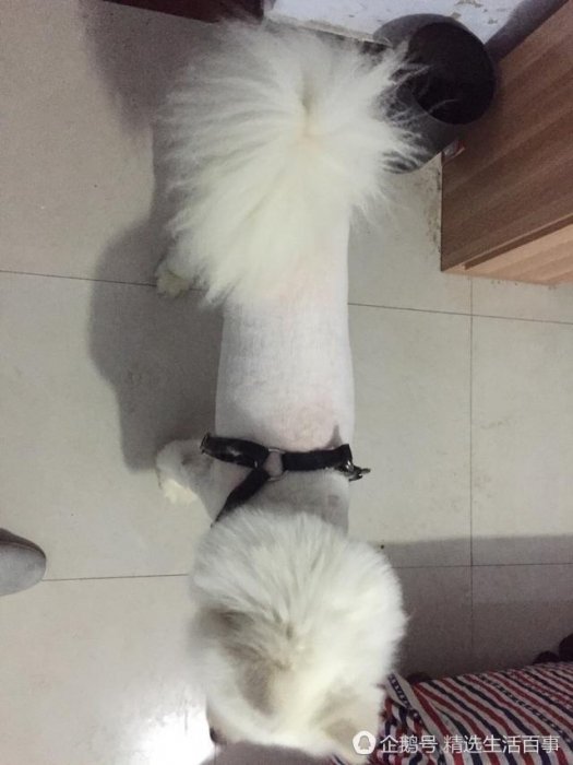 老闆是有強迫症嘛！150硬剃了3個小時！