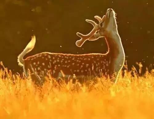 走過去，前面是一片陽光燦爛！