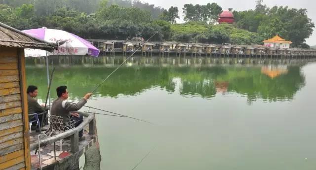 一老闆挖個魚塘，讓用戶免費釣魚，結果大家都驚呆了……