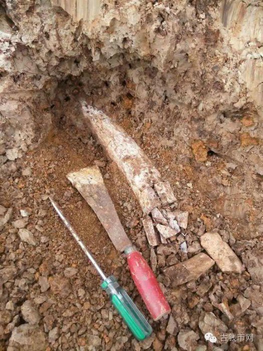 農民種地挖出了「寶貝」,引來了一群人圍觀!