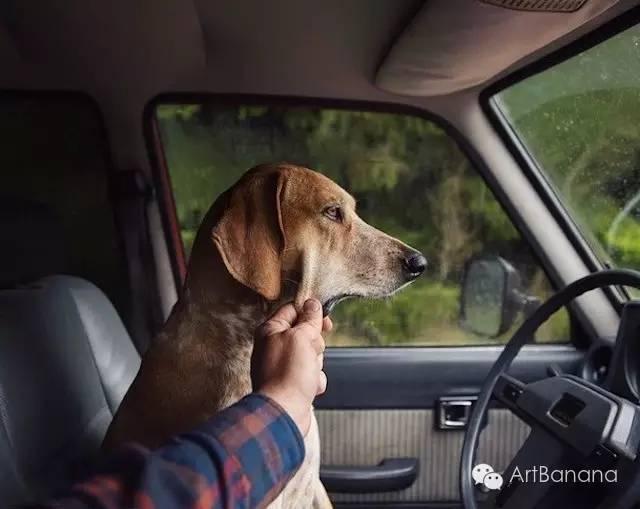 狗狗和攝影師在一起，結果當然是被玩兒壞了