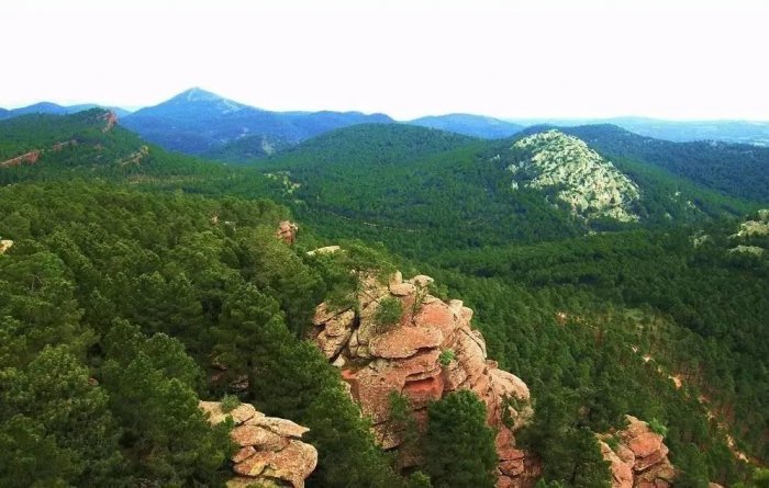 最美板鴨之秋-10個適合秋天休閑徒步的森林公園