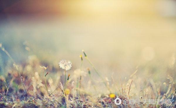 重情重義天蠍座的交友原則