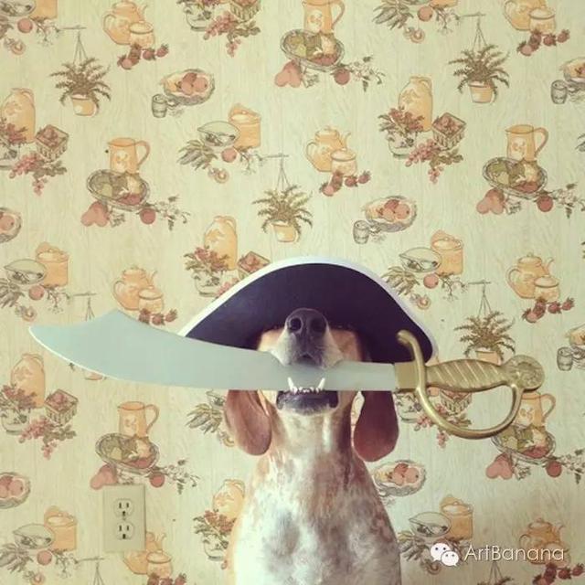 狗狗和攝影師在一起，結果當然是被玩兒壞了