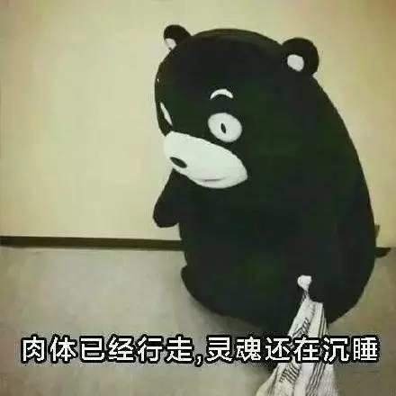 每一天都要和起床作艱難的鬥爭